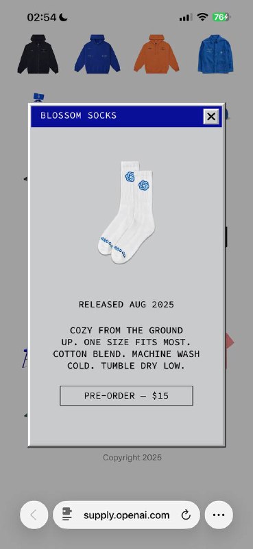 抽个人送我一双 openai 白袜