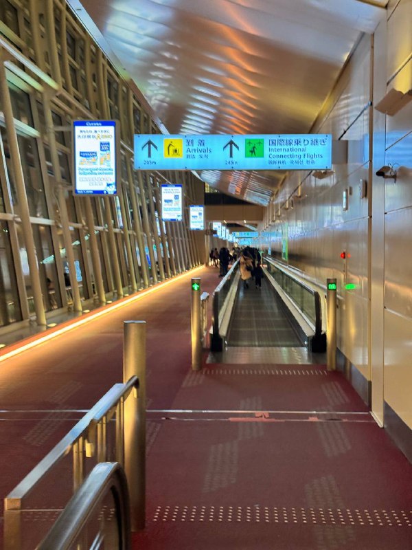 东京你好 我需要食物