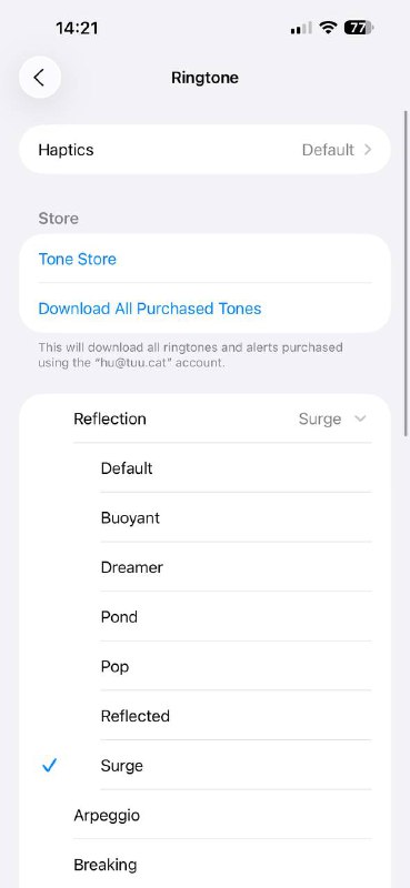 这个 Surge 铃声 听起来好有 f1 的感觉