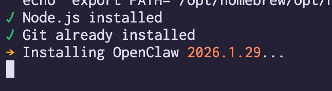 我在我的 mac mini 上运行了这个邪恶的命令！without a sandbox