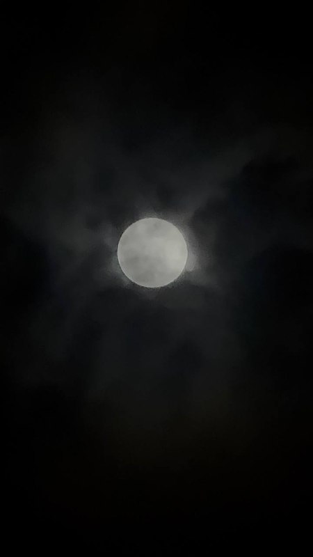 我求求了你们的月亮到底是咋拍的