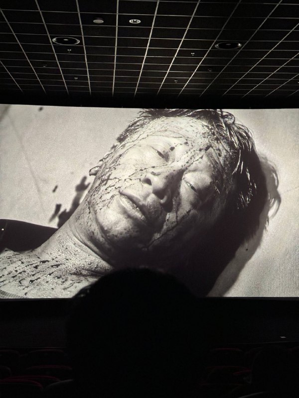 对不起 但是真的有点像