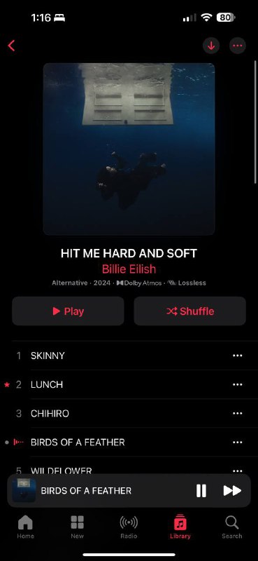 最后悔的事情就是把鸟毛做成了起床铃声和电话铃声