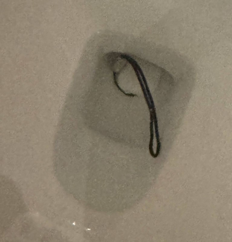 亲爱的马桶吞没了我的AirPods